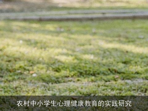 农村中小学生心理健康教育的实践研究