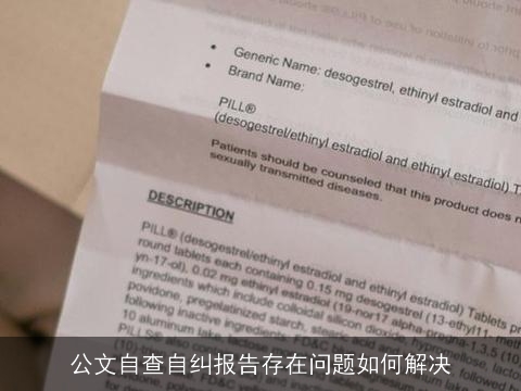 公文自查自纠报告存在问题如何解决