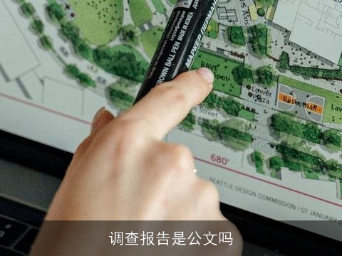 调查报告是公文吗