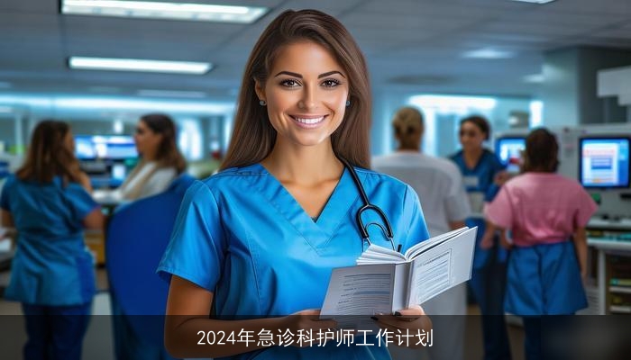 2024年急诊科护师工作计划