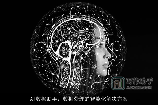 AI数据助手：数据处理的智能化解决方案 