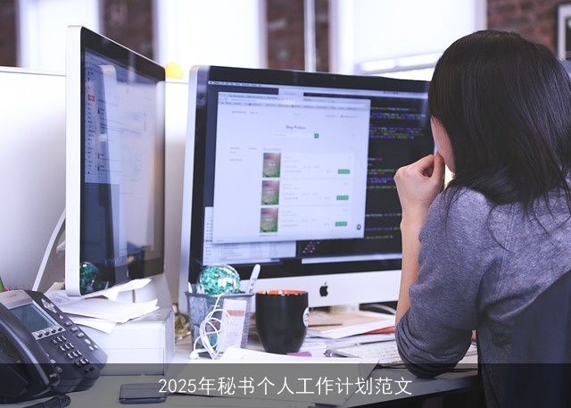 2025年秘书职业发展计划：专业技能提升与工作流程优化