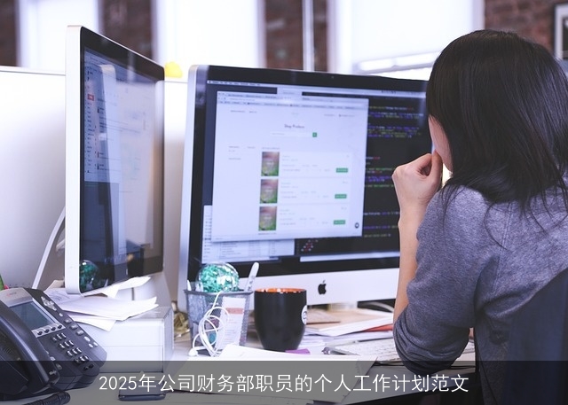 2025年财务部职员成长计划：专业技能提升与团队协作共赢