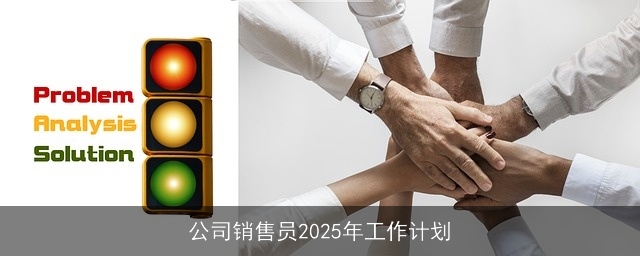 公司销售员2025年工作计划