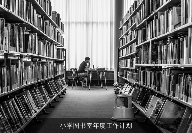 小学图书室年度工作计划