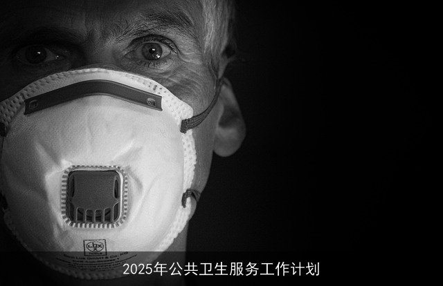 构建健康中国：2025年公共卫生服务工作计划概述