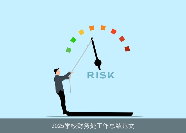  2025学校财务处工作总结范文 