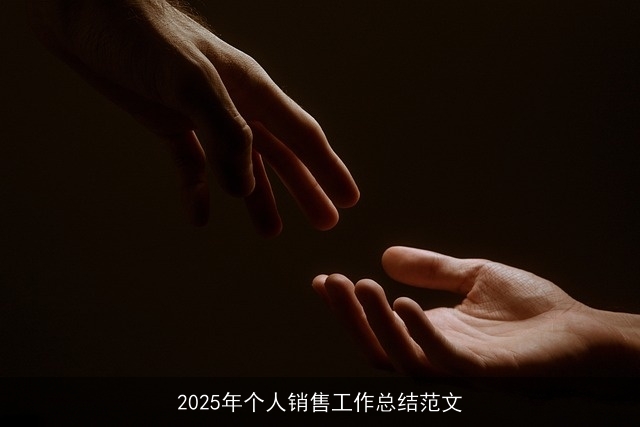 2025年个人销售工作总结范文