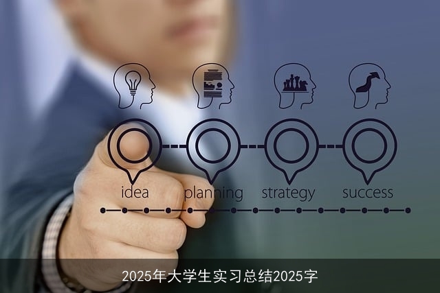 2025年大学生实习总结2025字