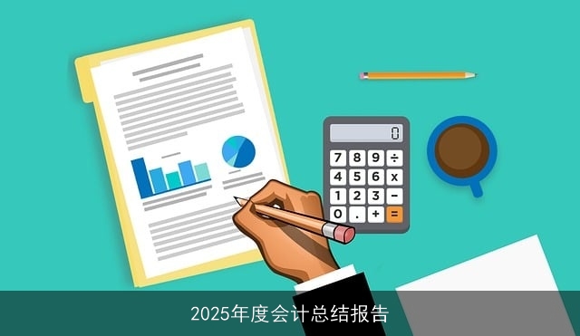 2025年度会计总结报告