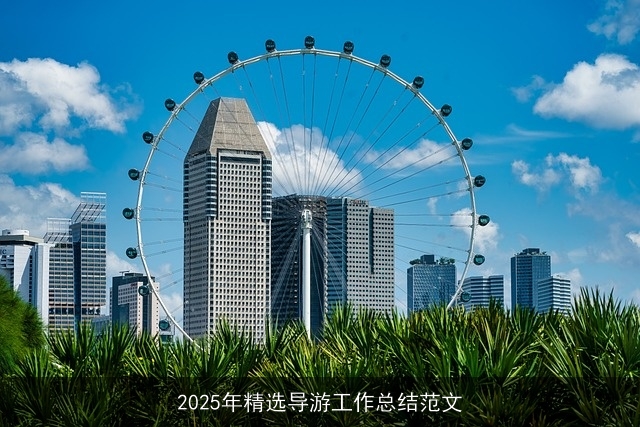 2025年精选导游工作总结范文