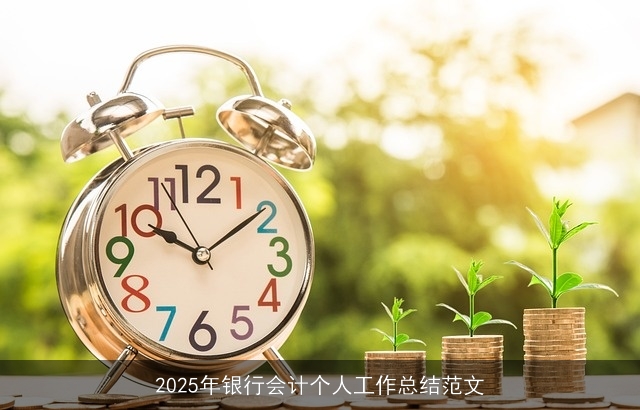 2025年银行会计个人工作总结范文