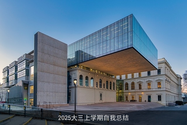 2025大三上学期自我总结