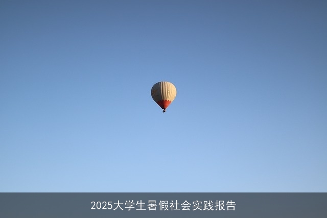 2025大学生暑假社会实践报告