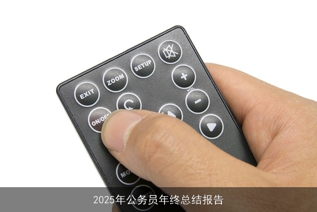 2025年公务员年终总结报告