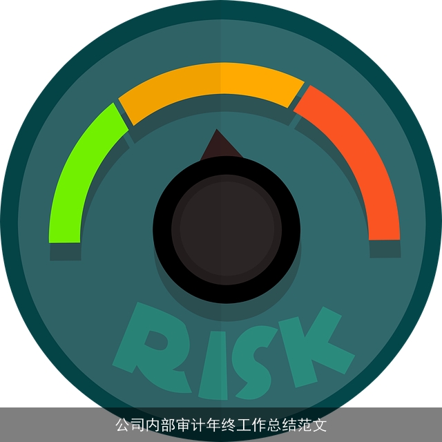 公司内部审计年终工作总结范文