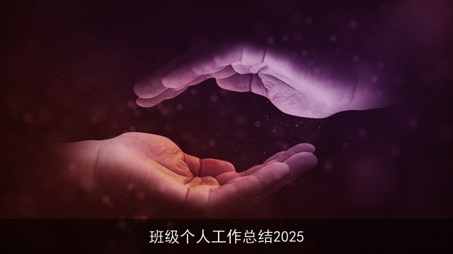 班级个人工作总结2025