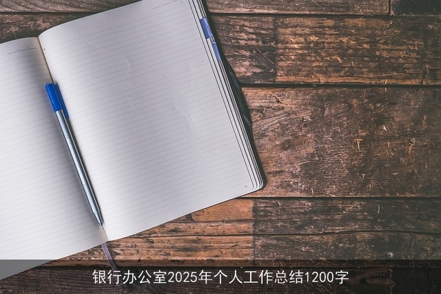 银行办公室2025年个人工作总结1200字