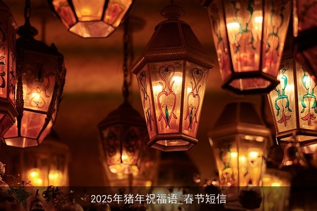 2025年猪年祝福语_春节短信