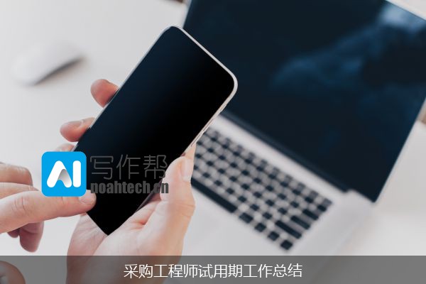 采购工程师试用期工作总结