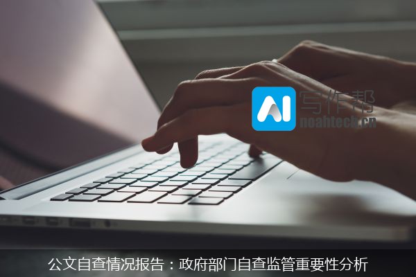 公文自查情况报告：政府部门自查监管重要性分析