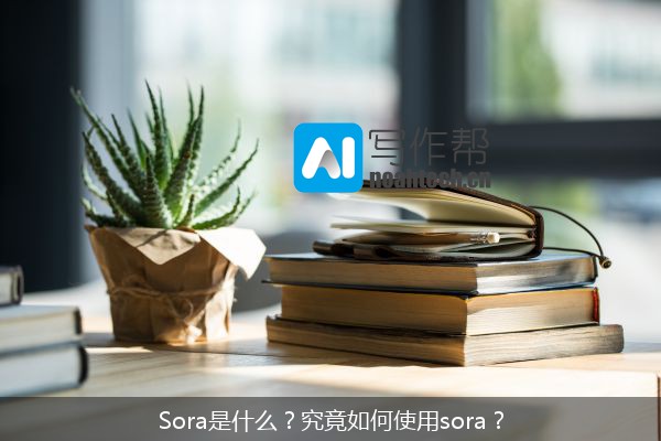 Sora是什么？究竟如何使用sora？