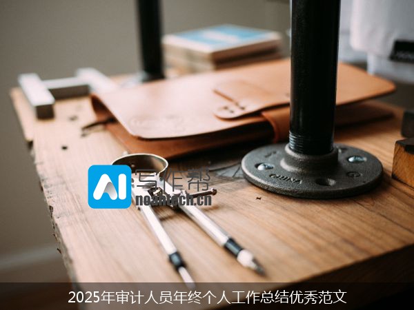 2025年审计人员年终个人工作总结优秀范文