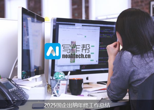 2025国企出纳年终工作总结