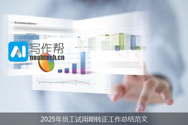 2025年员工试用期转正工作总结范文