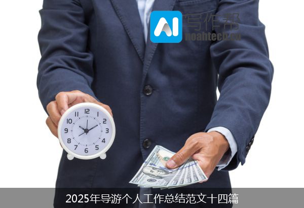 2025年导游个人工作总结范文十四篇