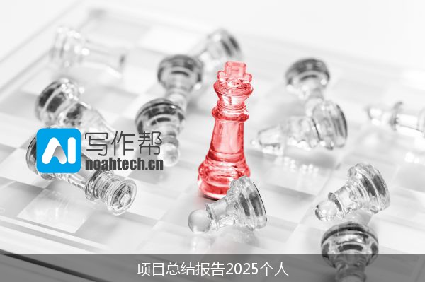 项目总结报告2025个人