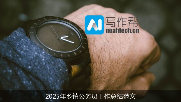 2025年乡镇公务员工作总结范文