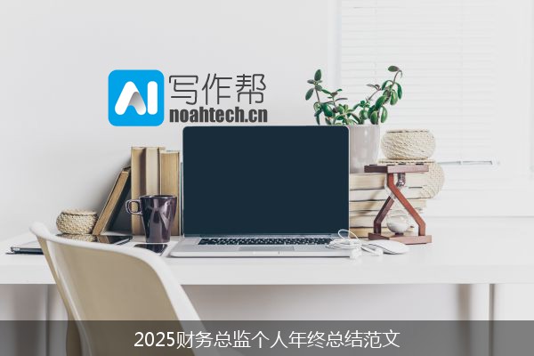 2025财务总监个人年终总结范文