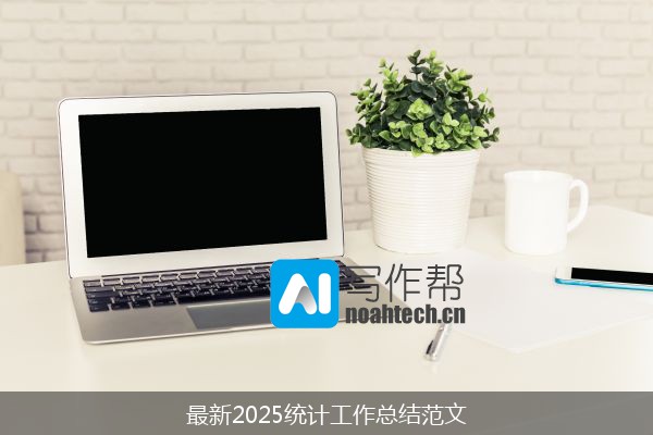 最新2025统计工作总结范文