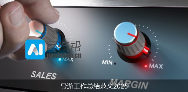 导游工作总结范文2025