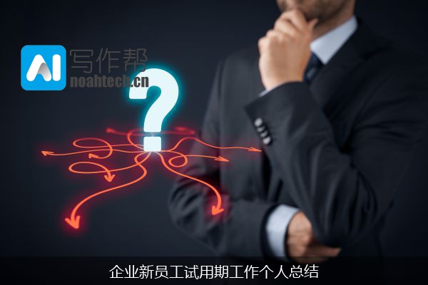 企业新员工试用期工作个人总结