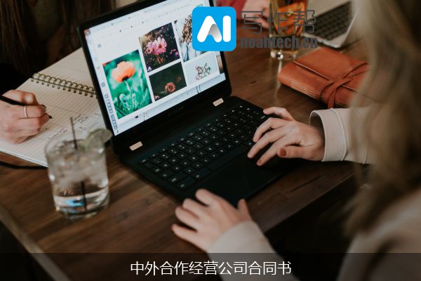 中外合作经营公司合同书