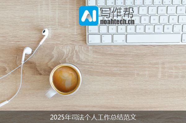 2025年司法个人工作总结范文