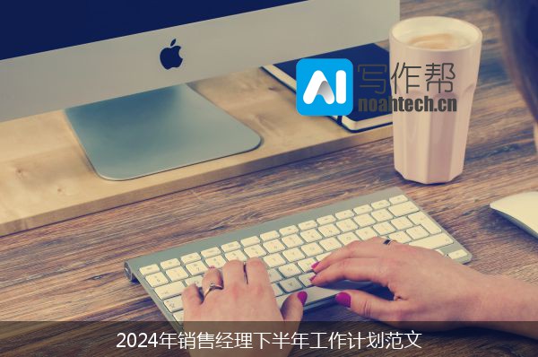 2024年销售经理下半年工作计划范文