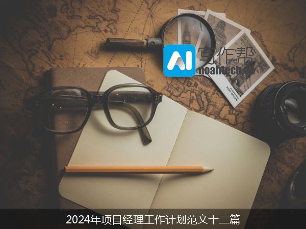 2024年项目经理工作计划范文十二篇