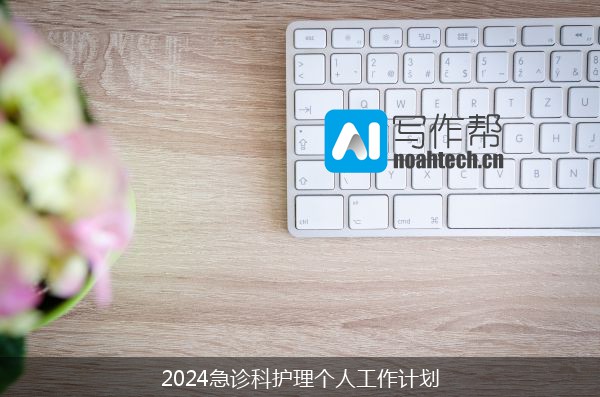 2024急诊科护理个人工作计划