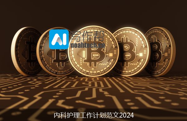 内科护理工作计划范文2024