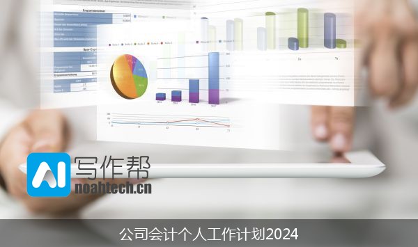 公司会计个人工作计划2024