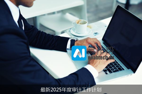 最新2025年度审计工作计划