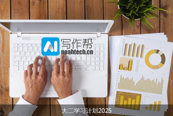 大二学习计划2025