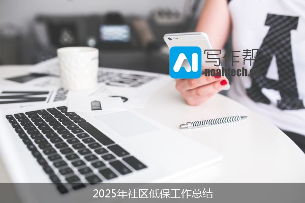 2025年社区低保工作总结