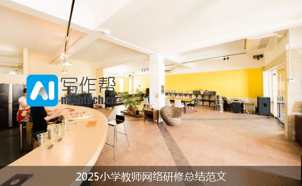 2025小学教师网络研修总结范文