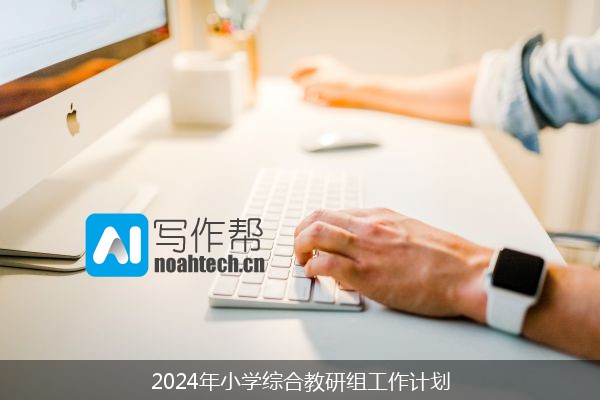 2024年小学综合教研组工作计划