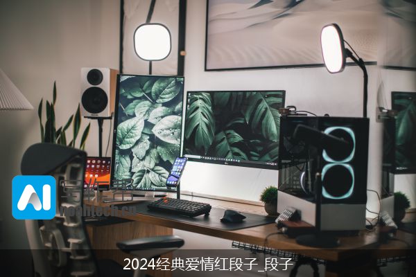 2024经典爱情红段子_段子