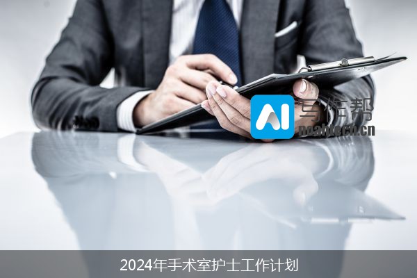 2024年手术室护士工作计划